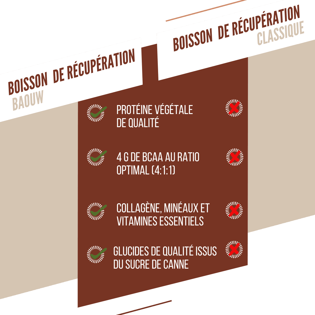 Boissons protéinées chocolat & noisettes
