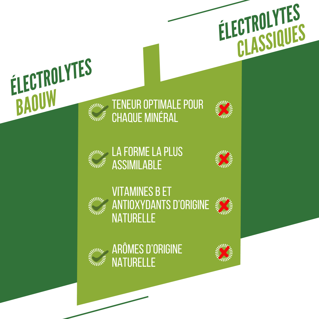 Baouw Electrolytes Citron Vert-Menthe