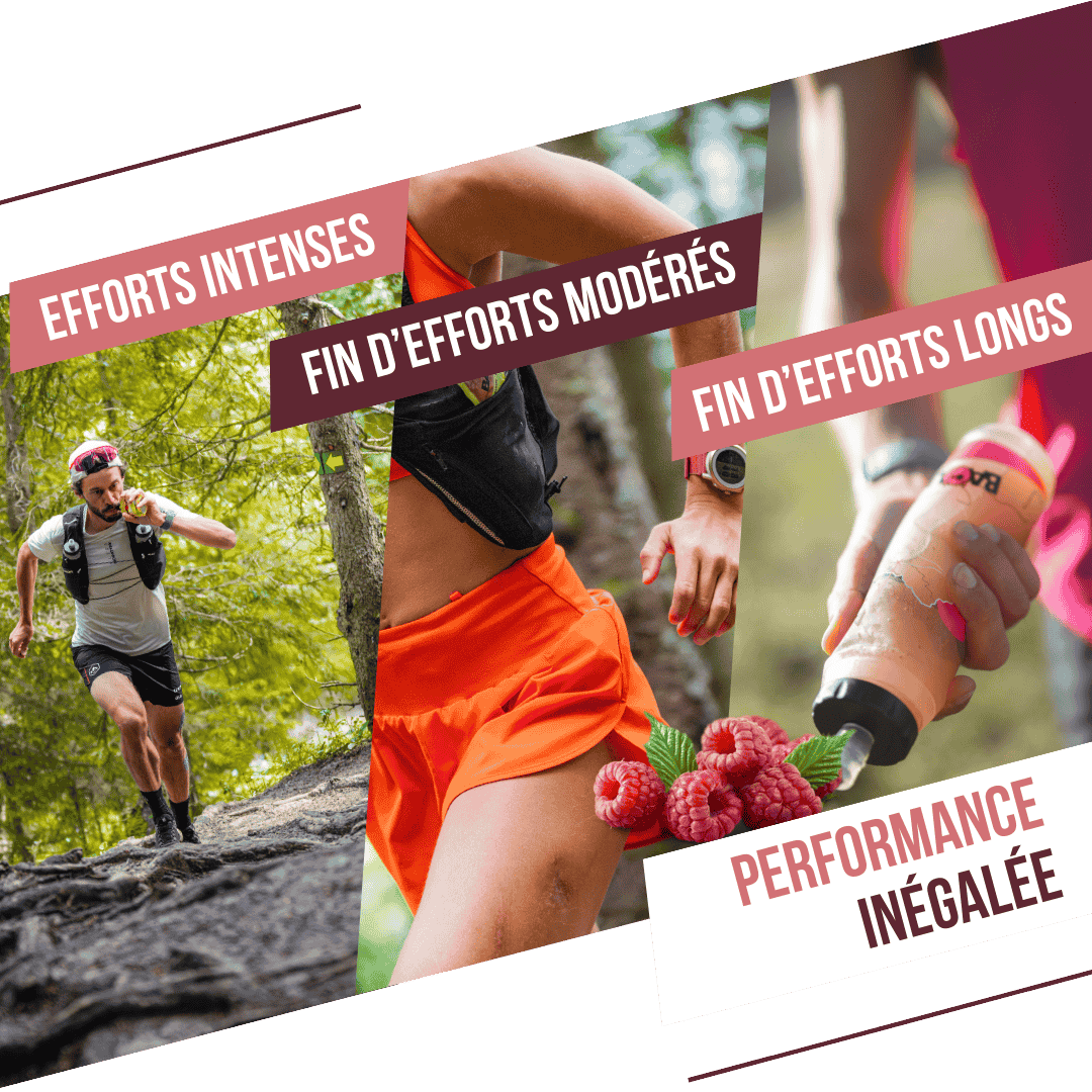Gel naturel bio Fruits rouges & Hibiscus