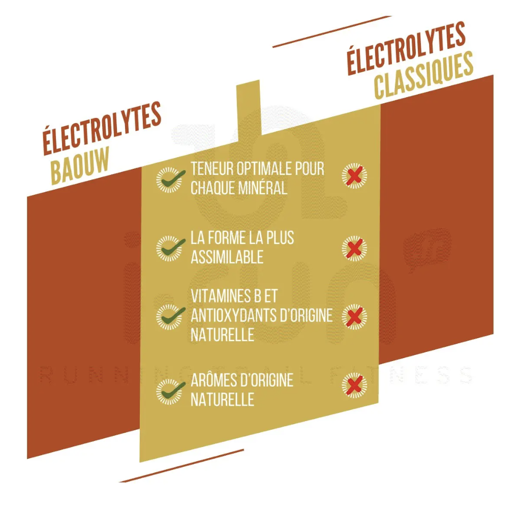 NOUVEAU ! Pack de 5 tubes d'électrolytes BIO Mangue - Ananas