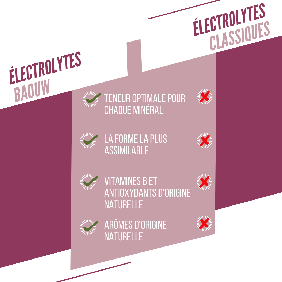Baouw Electrolytes Mûre-Cassis