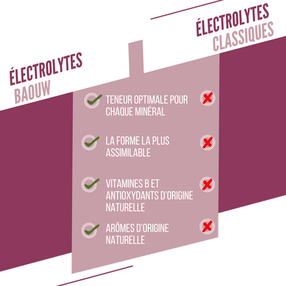 Baouw Electrolytes Mûre-Cassis