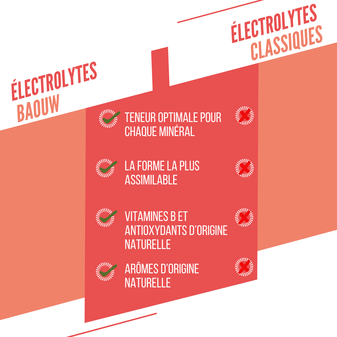 Baouw Electrolytes Pêche-Passion