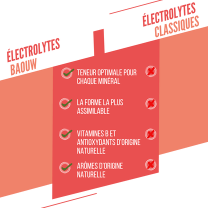 Baouw Electrolytes Pêche-Passion