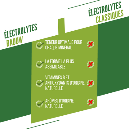 Baouw Electrolytes Citron Vert-Menthe
