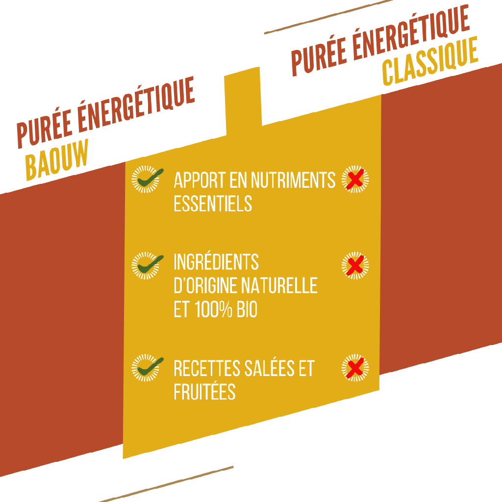 Baouw Purée BIO Mangue-Passion-Gingembre 90g
