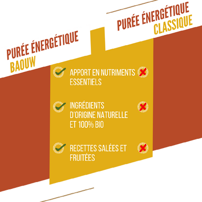 Baouw Purée BIO Mangue-Passion-Gingembre 90g