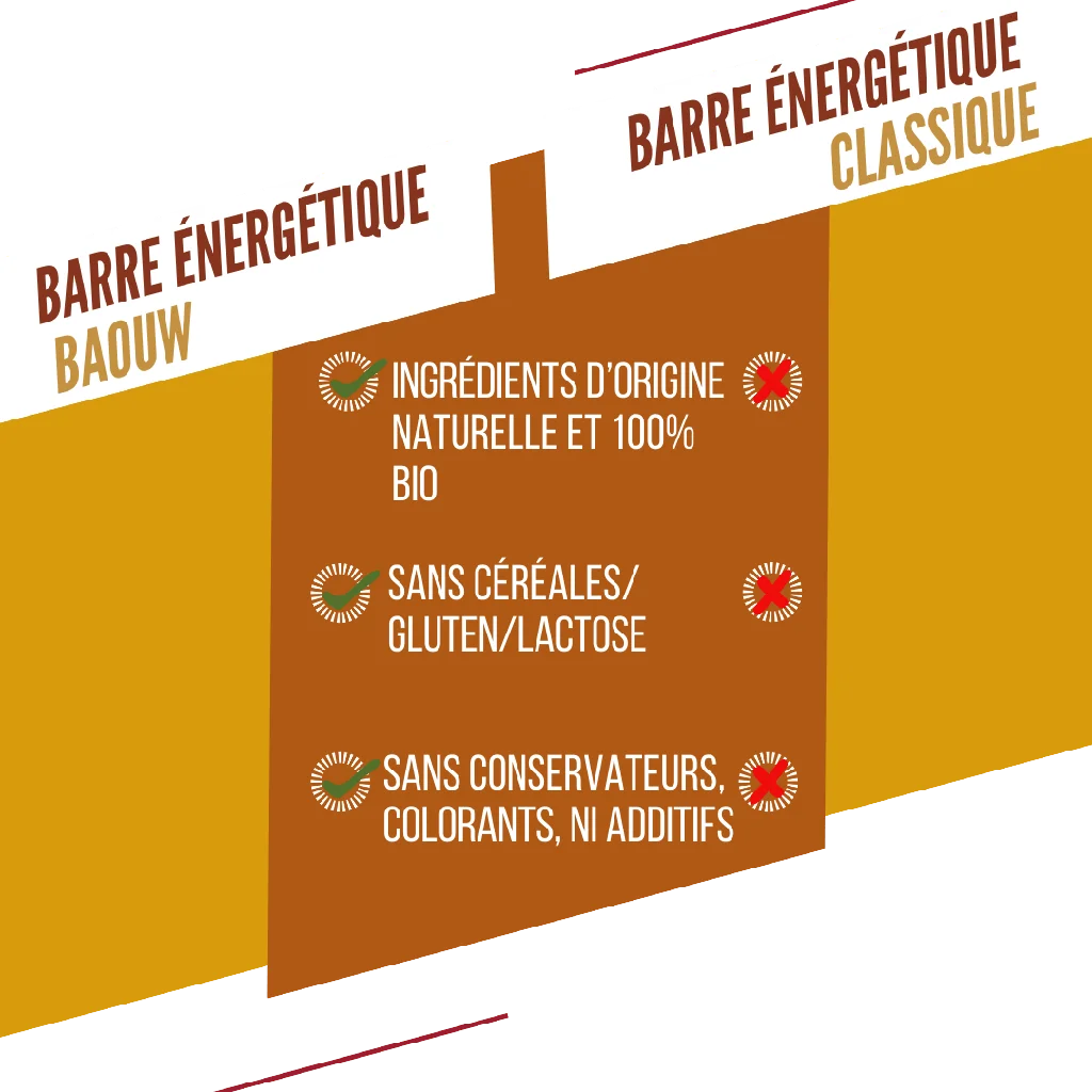 Baouw Barre Extra BIO Mangue 50g