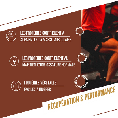 Baouw Barre protéinée BIO Chocolat - Cacahuètes 50g