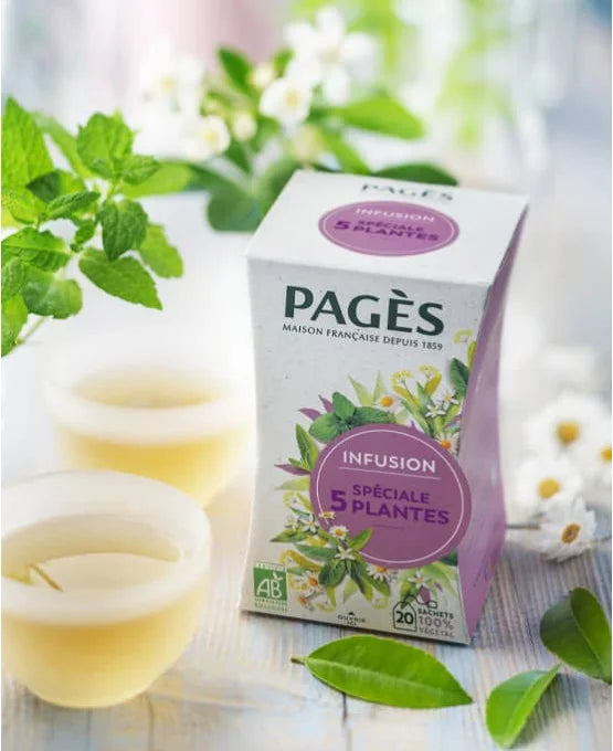Pagès Infusion BIO Spéciale 5 plantes x20