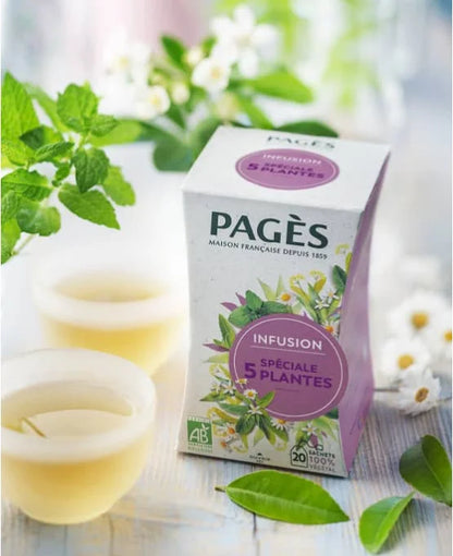Pagès Infusion BIO Spéciale 5 plantes x20